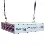 Black Dog Led - PhytoMAX-2 600 LED Grow Light - PM2-600