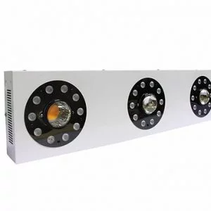 AmareTech - SolarPRO SP300 - SP300-017